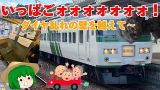 【JR東日本】特急185に乗ったぞオオオオオオオオオ【ゆっくり実況】