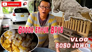 Pak Rudi gogoh entuk boyo gede banget - Vlog Jowo sonko Suriname