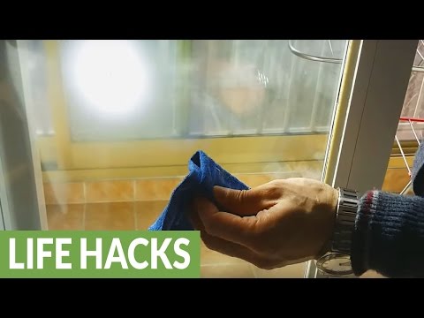 Life hack: How to clean stubborn stickers from windows Life hack: How to clean stubborn stickers from windows