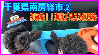 【ペットと泊まれる宿】[3-2南房総ペットと泊まれる宿]　野島崎灯台を散歩してきました。黒トイプードル🐩黒ぷー日記🎥4K　遊覧船かもめ丸　野島崎灯台