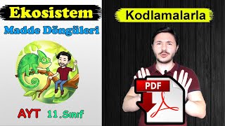 AYT  coğrafya 11.sınıf coğrafya EKOSİSTEMİN ÖĞELERİ VE İŞLEYİŞİ, Enerji akışı ve madde döngüleri