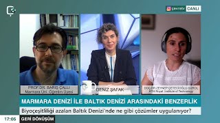 🌊Denizlerin ıslahı : Marmara Denizi ile Baltık Denizi arasındaki benzerlik ne?