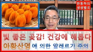 빛 좋은 곶감일수록 건강에는 해롭다 - 한동하의 생생별곡(52화)