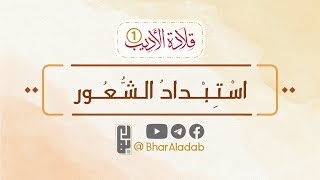 { قلادة الأديب ❶ } | 12 | اسْتِبدادُ الشُّعُور