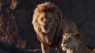 The Lion King 2019 First Opening Scene