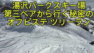 湯沢パークスキー場【コース外ツリーラン】簡単。中級者で行けます！