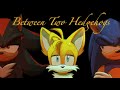 Tailstube Animated - Between Two Hedgehogs