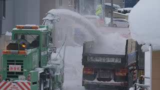 今年は「大寒」の前に『排雪』が来ました　2025年1月17日【Insta360 x4】