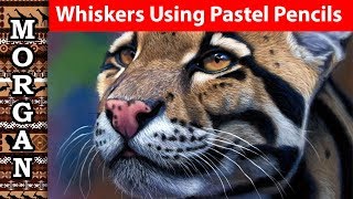 How to draw whiskers using pastel pencils