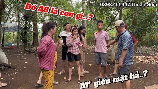 7 Lé gài AE- Đưa AE vô thế khó