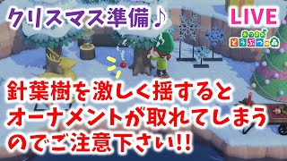 【あつ森/生放送】まだオーナメント集めてない！ルーティンしつつ集めます「あつまれ どうぶつの森」#57【クリスマス】