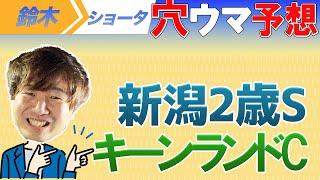 【重賞予想】新潟２歳S　キーンランドカップ予想【元TMのアナ馬厳選予想】