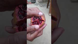 #amar gacher bedana #viral video # black reddish bedana #garden tips and care