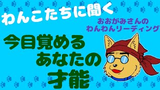 🐶その力は幸せを呼びこむために！今目覚める「あなたの才能」！🐶わんこたちに聞く🐶おおがみさんのわんわんリーディング【タロット・オラクルカードリーディング】🐶当たるよ🐶