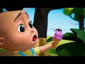 Ice Cream Song + More Children Songs & Cartoons | Learn with Baby Berry!
