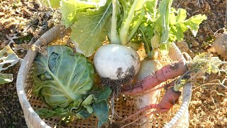 野菜スープ 作り方　体を癒す畑のスープ♪　How to make vegetable soup: Field soup that heals the body ♪