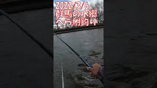 群馬の水郷でへらぶな釣り