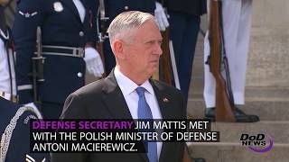 Mattis Meets With Polish Defense Minister