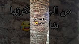 من الجوع فكرها شاورما _مقاطع مضحكه