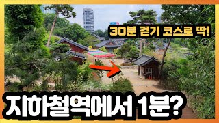 💚서울도심 트레킹 핫플 코스 | 🚉지하철역 출구에서 1분 거리 | 트레킹 코스👍🏻| 경치 끝내주고!📸 | 대중교통 여행 | Tracking Seoul