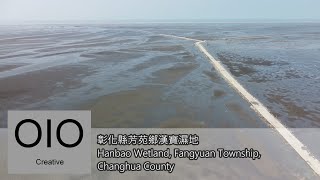 彰化縣芳苑鄉漢寶濕地 Hanbao Wetland, Fangyuan Township, Changhua County [Aerial View|空拍]