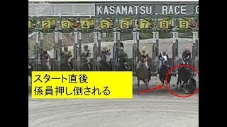 笠松競馬　カンパイ　競馬ハプニング