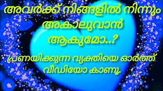 അവർ നിങ്ങളെ ആത്മർത്ഥം ആയി തന്നെ ആണോ സ്നേഹിക്കുന്നത്...?