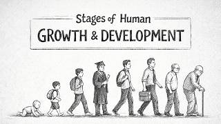 Stages of Human Growth & Development Explained