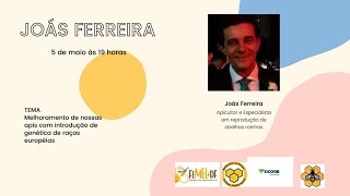Webnário da Semana Internacional da Abelha
