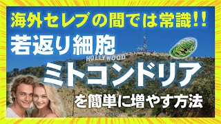 海外セレブが大注目する若返り細胞ミトコンドリア。体内エネルギーの90％以上を作るミトコンドリアを増やす奇跡の調合を実現したサプリが登場！