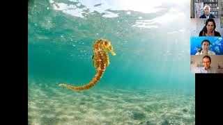 The Mediterranean - a Plastic Sea?  EndPlasticSoup Webinar March 2021, sponsored by Hugo Investing
