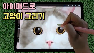 아이패드로 고양이 그리기 (Drawing a cat with an iPad)