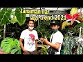 Review Harga Tanaman Hias Lagi Trend 2021