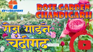 The BEAUTY of Rose Garden in Chandigarh!