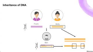 Working with DNA segments on MyHeritage