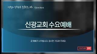 2025년 1월 8일 신광교회 수요기도회  /  백상규 담임목사