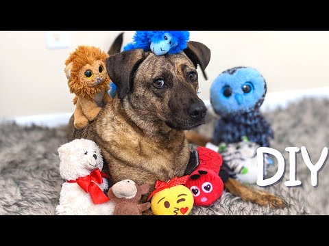 Diy Squeaky Dog Toys Youtube
