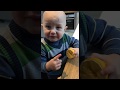 Dziecko cytryna Dziecko próbuje cytrynę pierwszy raz Kid Eating lemon for the first time Funny babie