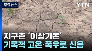 지구촌 곳곳 기록적 고온·폭우로 신음 / YTN