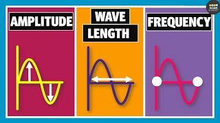 Wavelength, Frequency, Time Period and Amplitude | Physics