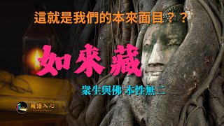 如來藏-眾生與佛，本性無二。人人皆有如來寶藏，您發現了嗎？|如來藏|原始佛教|佛學|禪修|阿賴耶識|密教|雜阿含經|藏識|佛教理論|佛教修行|Buddha|Tathāgatagarbha|中文有聲|佛