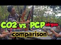 PCP-taurus optimum VS.CO2-nimrod short review comparison