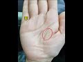 🔥幫粉絲看手相 🤚☯看看是不是跟你一樣的手紋， palmistry 手相