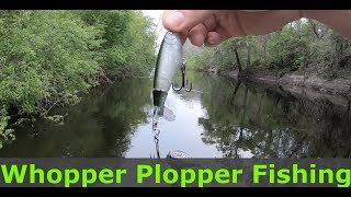 Suwannee river bass fishing! Whopper Plopper!