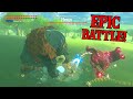 Guardian vs Hinox EPIC BATTLE! | Zelda: Breath of the Wild