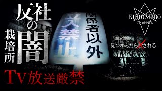 ※超閲覧注意※TVでは絶対に放送できない消去覚悟の映像