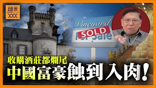 （中英字幕EngSub）中國收購法國酒莊都爛尾！大批富豪蝕到入肉紛紛拋售！到底中國人連酒莊都經營失敗？《蕭若元：蕭氏新聞台》2024-10-28