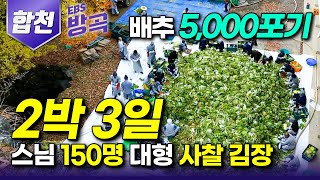 [경남 합천] 줄이고 줄여서 5,000포기! 트럭 채운 배추 모두 담가도 모자란 2박 3일 해인사 김장하는 날｜수행 중인 스님만 150명, 산중 대형 사찰｜#한국기행 #방방곡곡