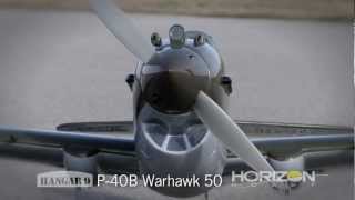 P-40B Warhawk 50 ARF by Hangar 9