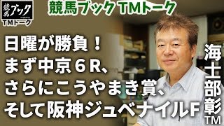 【競馬ブック】海士部彰ＴＭの推奨馬（阪神ジュベナイルフィリーズ、中京6R、こうやまき賞　2015年12月13日）